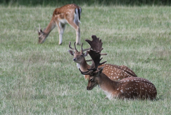 To vedro nás zmáhá.