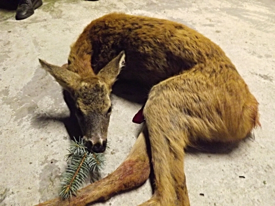 Poslední do plánu v hodině dvanácté