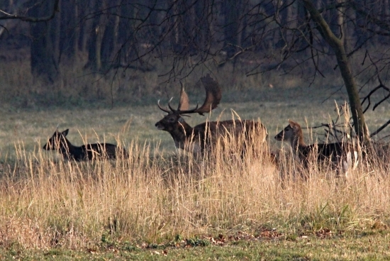 Dnes ráno ještě rochal