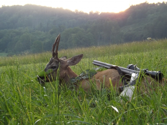 Desetiletý zpátečník