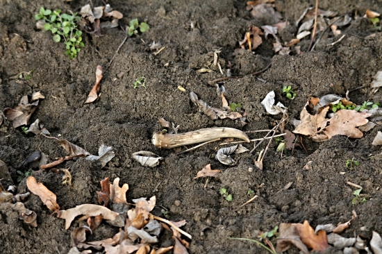 Malý, ale potěšil.