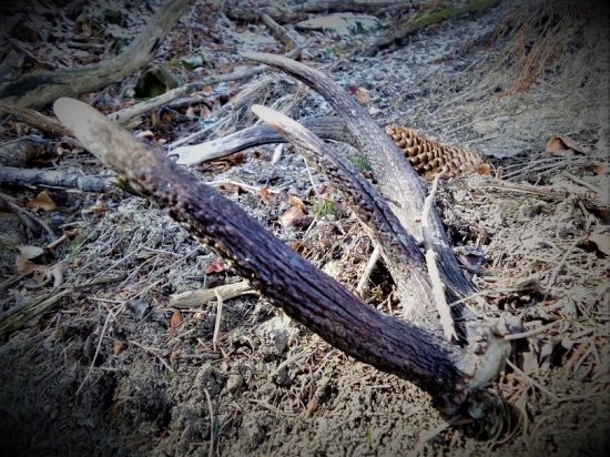 V jarných lúčoch...