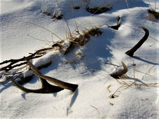 Dozvuky zimy...