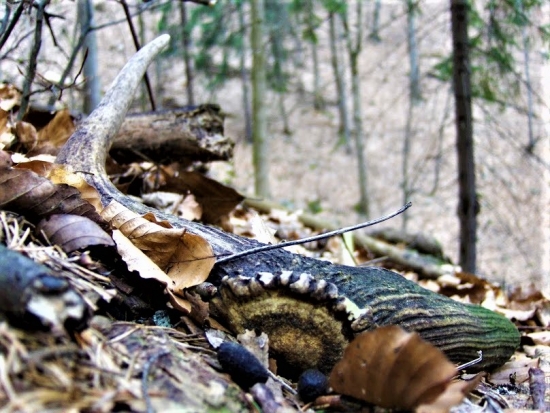 Aj taký poteší...