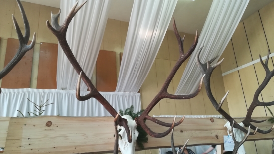 Najsilnejšia jelenia trofej CHP 2018-19 Humenné