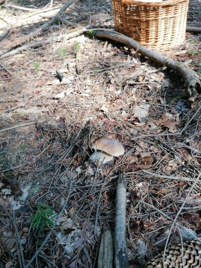 Dnešný dubáčik ;)