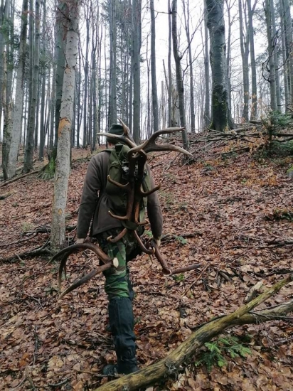 Keď sa z lesa drevo zváža ????