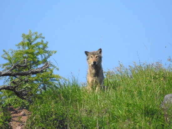 Dnešne krásne stretnutie.