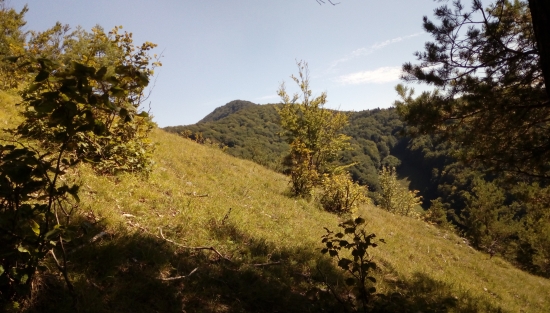 Jesenný podvečer ...