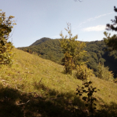 Jesenný podvečer ...