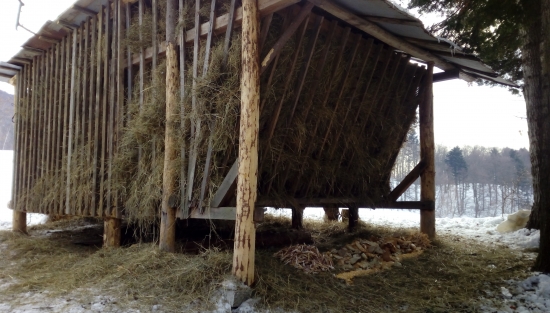 Boli sme dohodit. Seno...