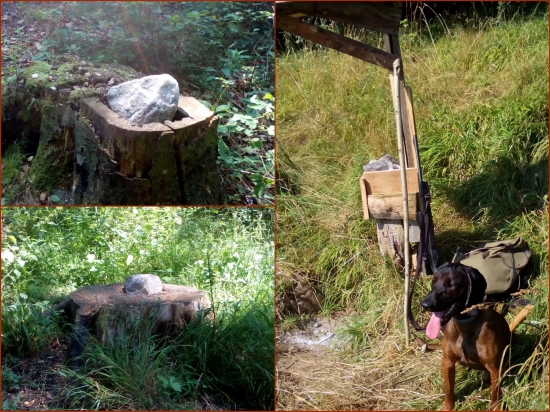 Doplnenie solísk pred rujou