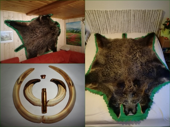 Životný