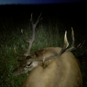 Driemajúci večným spánkom!