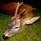 Pre mňa ´´veľký´´