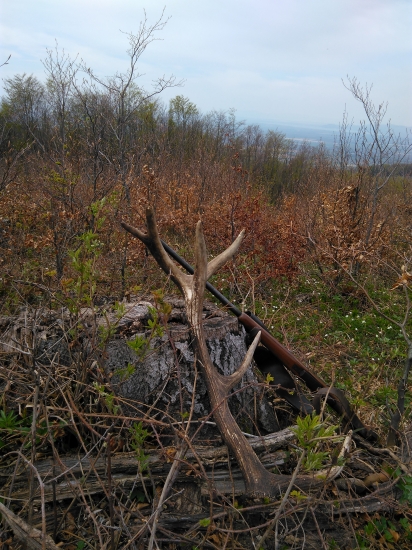 Minuloročný ale potešil