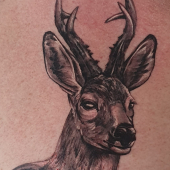 na vlastnej koži :)