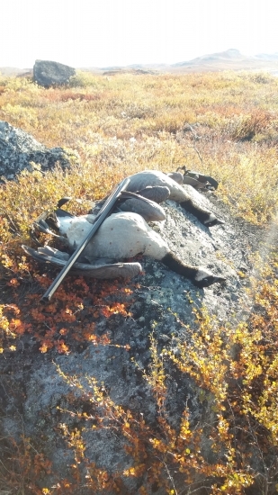 Sezóna lovu pernaté je úspěšně zahájena