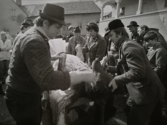 Vyzliekanie  medveďa