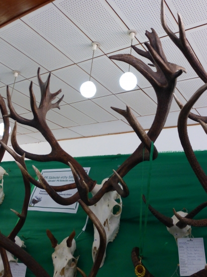 Nepravidelný tridsaťtorák