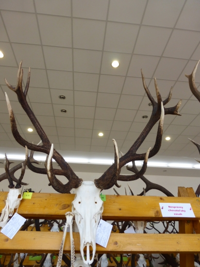 Združenie medailových jeleňov