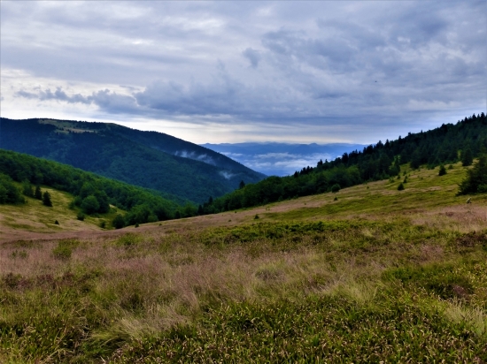 Martinské hole