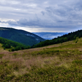 Martinské hole