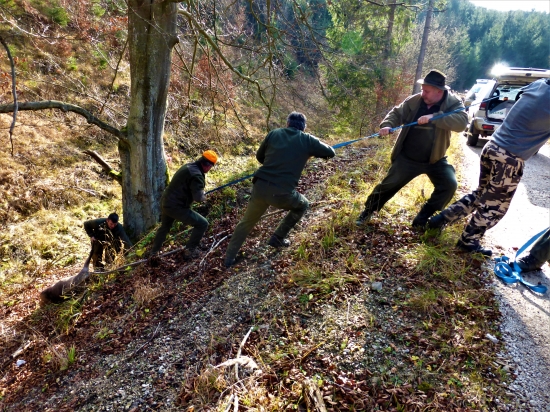 Poľovníci na ťahu...