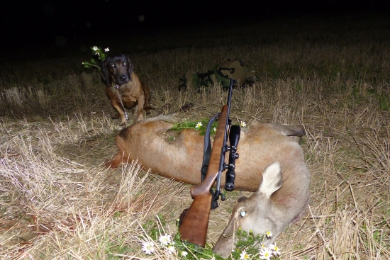 Jelenička do plánu .