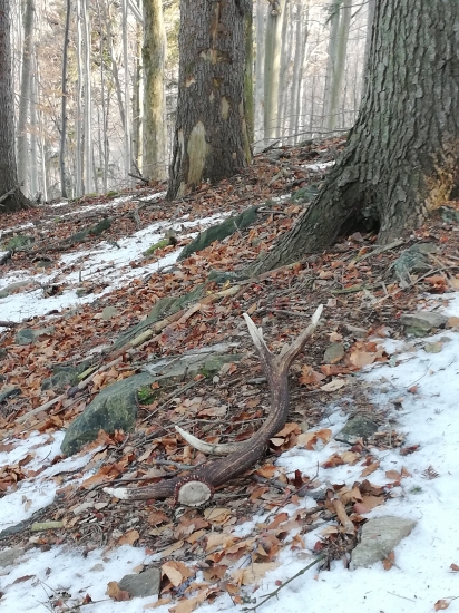 poobedňajšia vychádzka