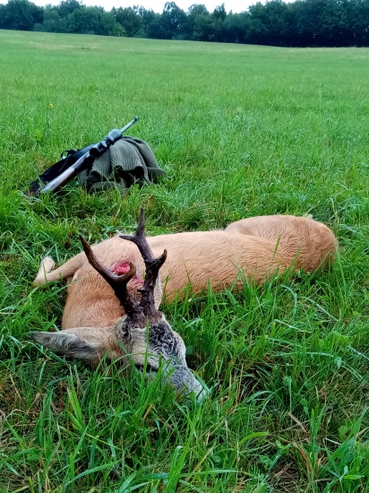 Srnčia ruja 2019