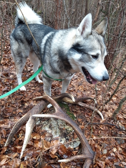 Pošťastilo sa nám