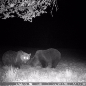 akoby ich jedna mater mala