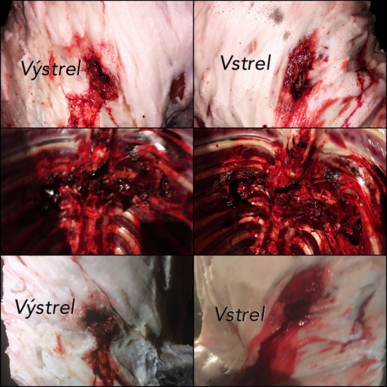 30-06 RWS UNI Classic