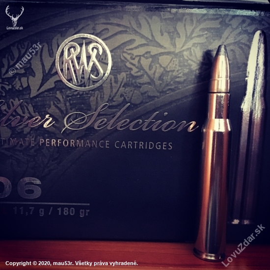 RWS UNI Professional 30-06 11,7g Silver selection