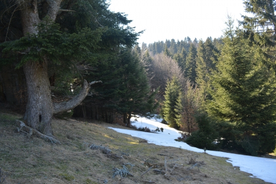 Na Vrchoch