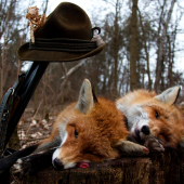 Pekné nedeľné ráno