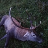 Nedeľňajšie ráno