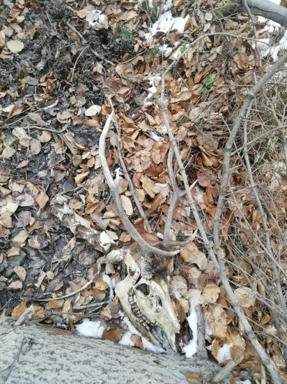 Takto som ho našiel