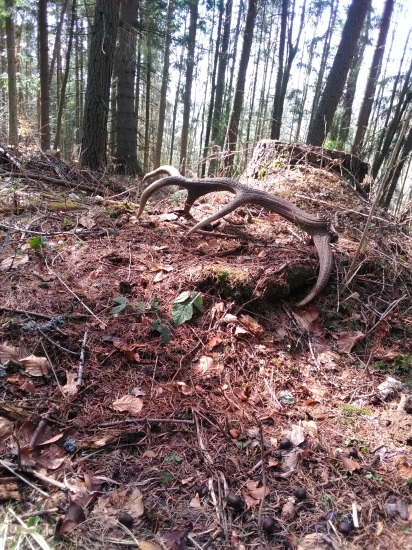 Krásny zvyšok víkendu prajem