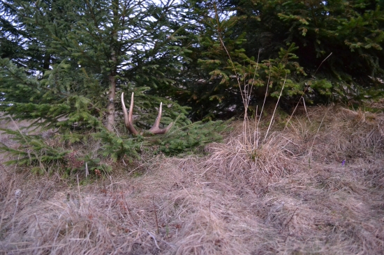 Pán Kráľ je o niečo ľahší