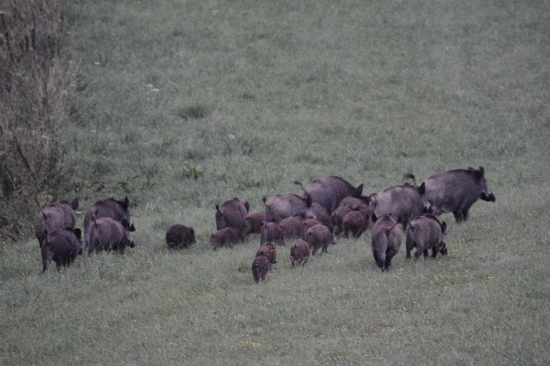 Keď som už ani nedúfal, a vtedy to prišlo...