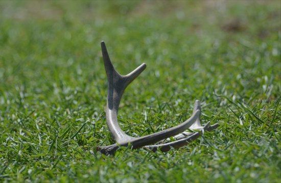 Devätnásty pohľad...