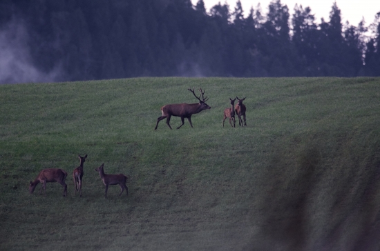 Vydarené ráno