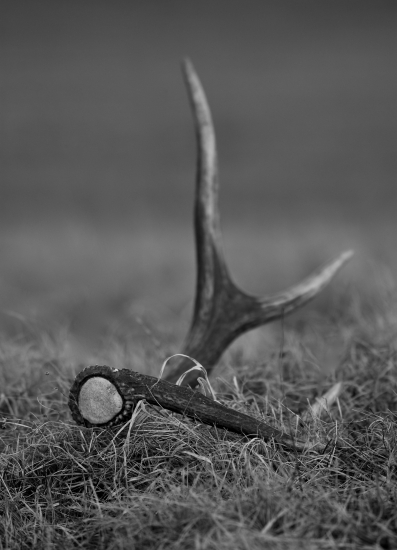 Štrnásty pohľad v sezone