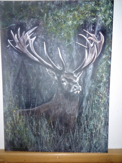 jeleň na plátne