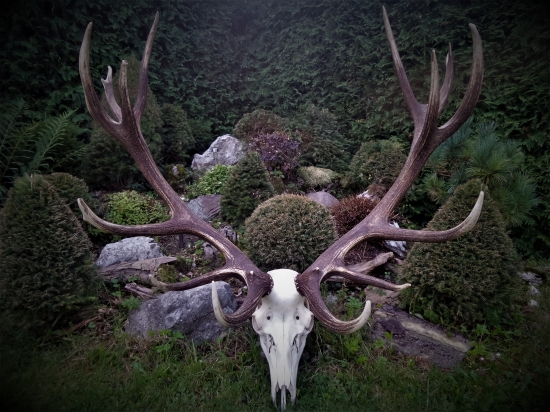 Pekná pravidelná trofej...