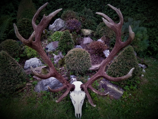 Kapitálna trofej...