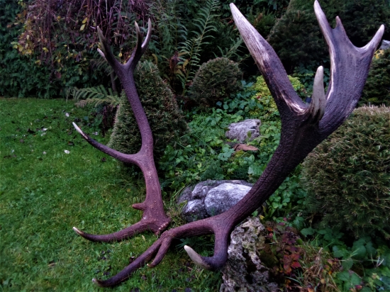 Strieborná šestnáska...