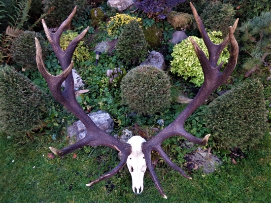 Historická trofej Slovenska...